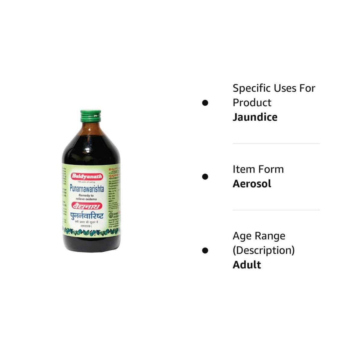 Baidyanath Punarnavarishta Syrup (450 ml)