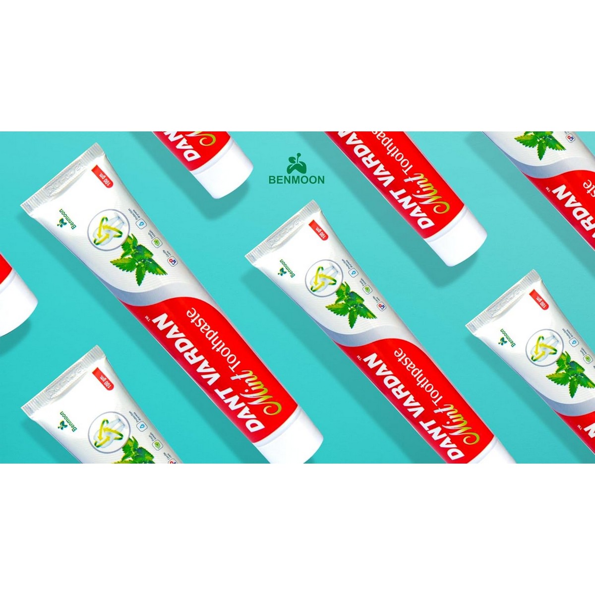 Benmoon Dant Vardan Mint Toothpaste For Refreshing Breath All Day Long (100 gm)