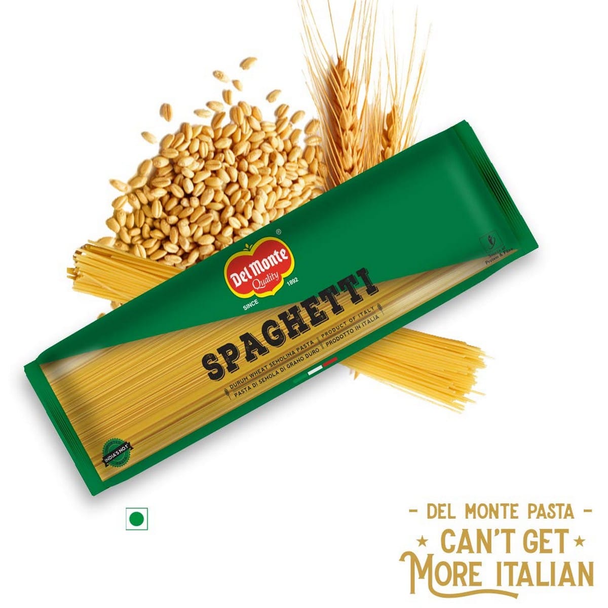 Del Monte Spaghetti Pasta Imported (500 grams)