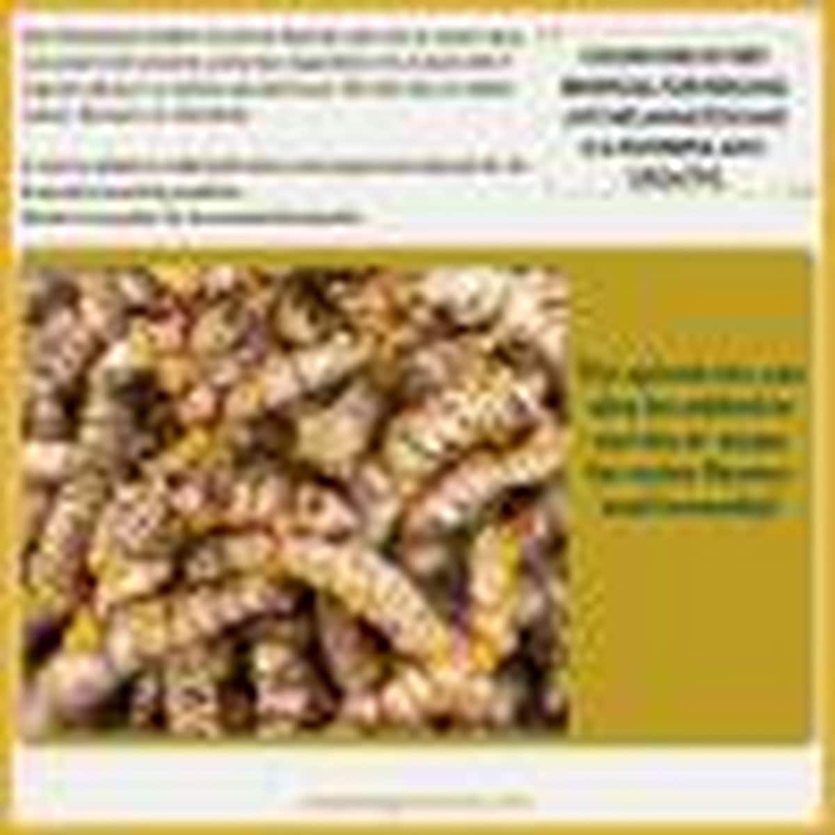 Happy Mountain Himalayan Golden Turmeric Spiced Latte (100 g)