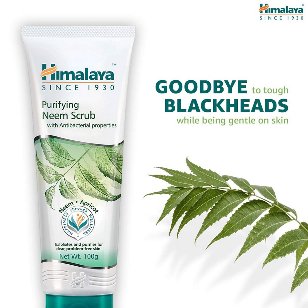 Himalaya Herbals Purifying Neem Scrub (50 grams)