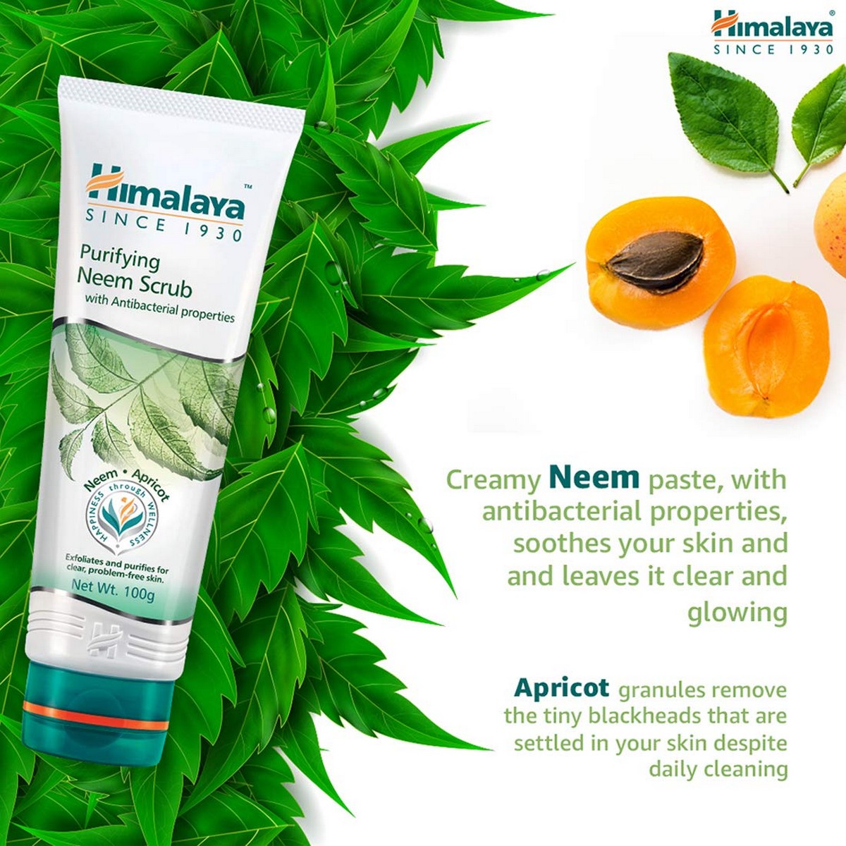 Himalaya Herbals Purifying Neem Scrub (50 grams)