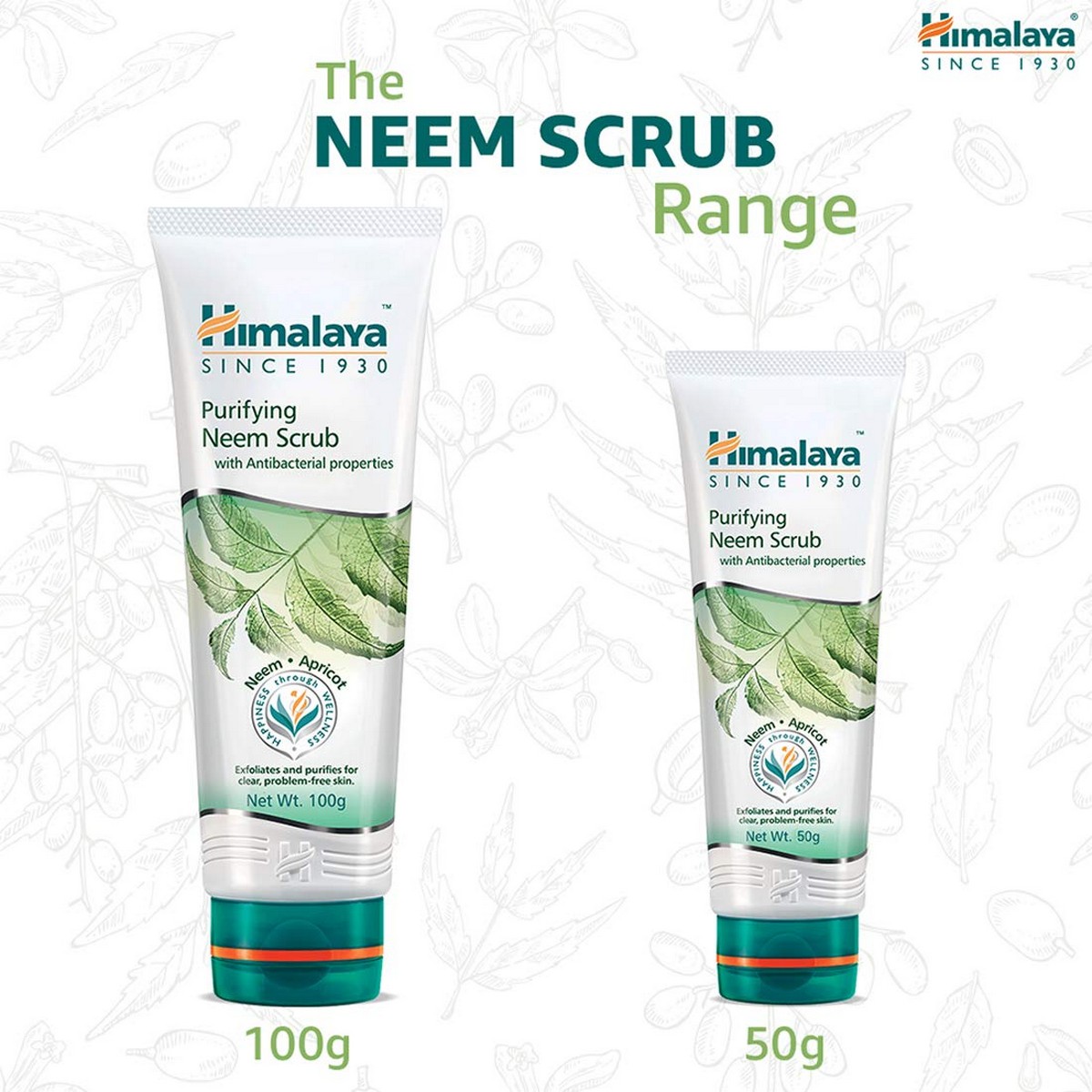 Himalaya Herbals Purifying Neem Scrub (50 grams)