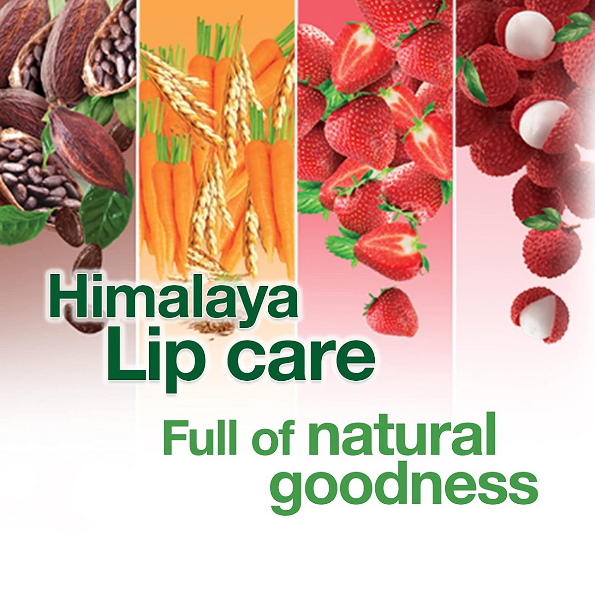 Himalaya Litchi Shine Lip Care (4.5 grams)