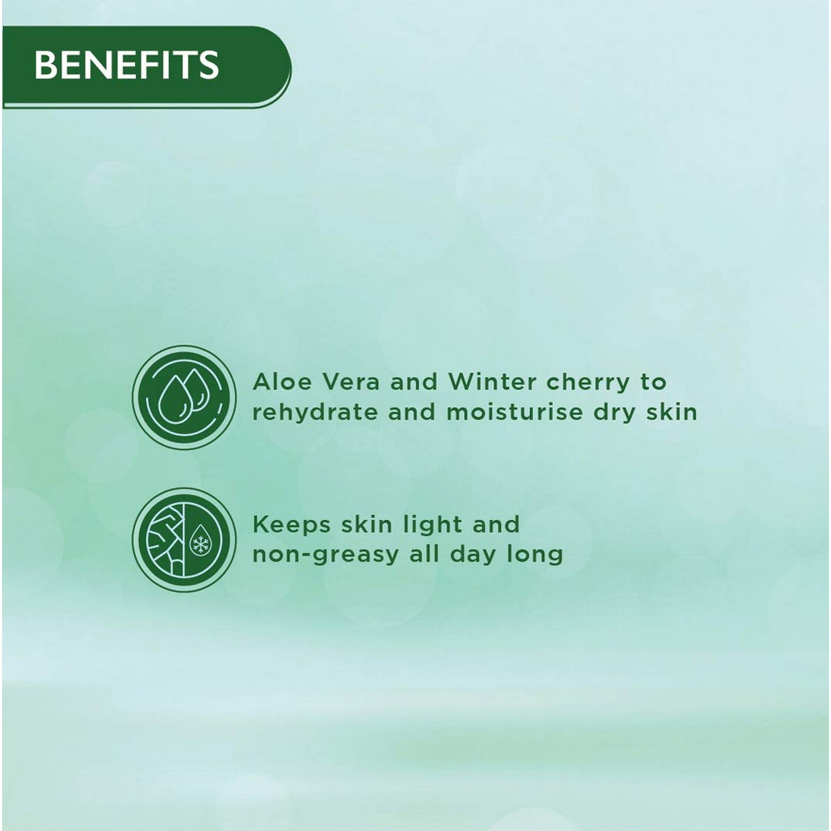 Himalaya Nourishing Skin Cream (100 ml)