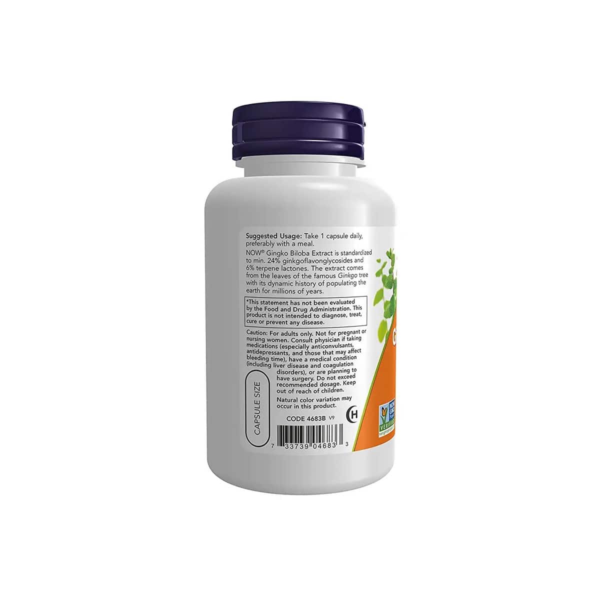 NOW Foods Ginkgo Biloba 120mg (100 capsules)