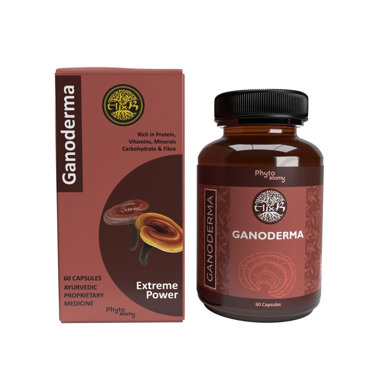 Phyto Atomy Ganoderma Capsule (60 Capsule)