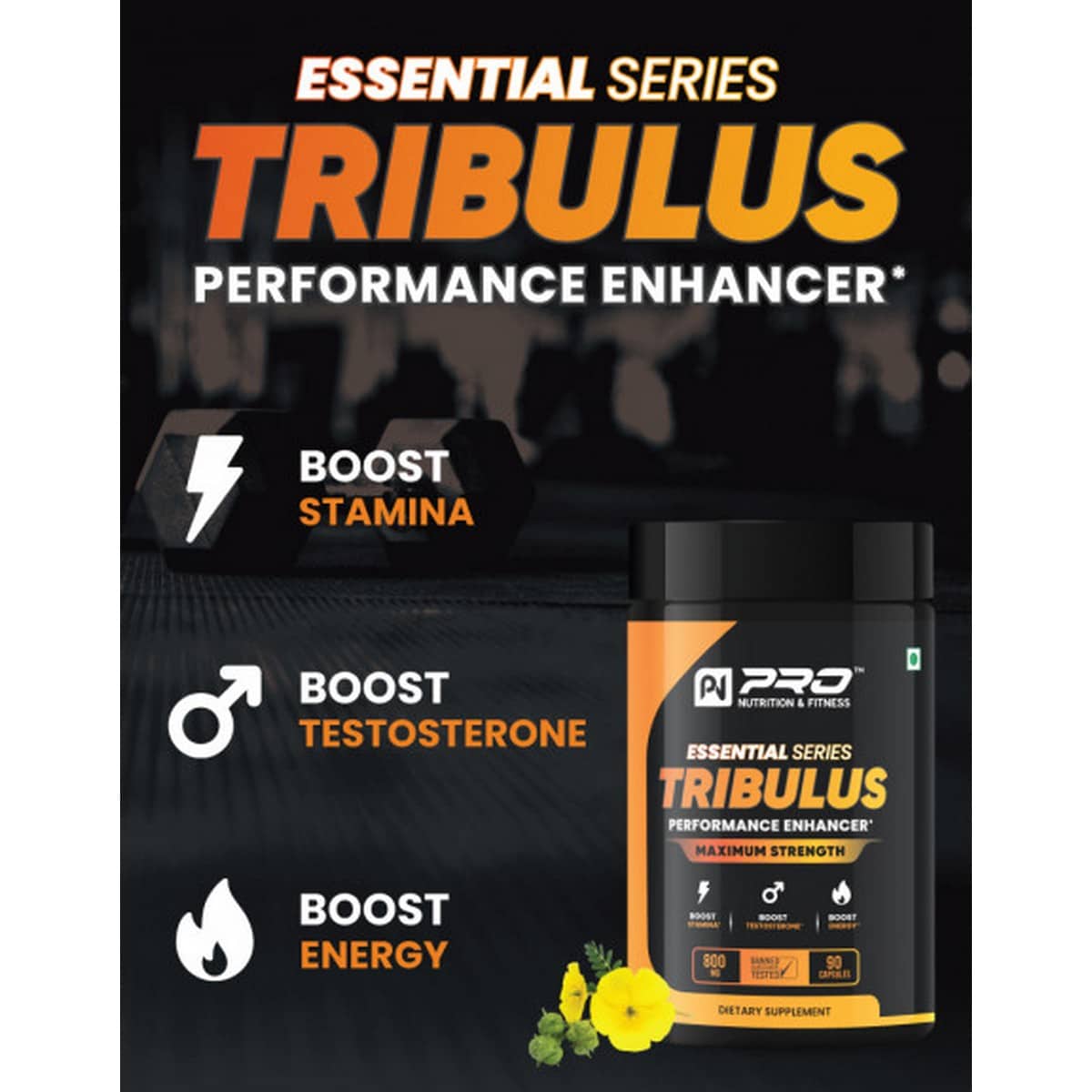 Pro Nutrition Tribulus (90 capsules)