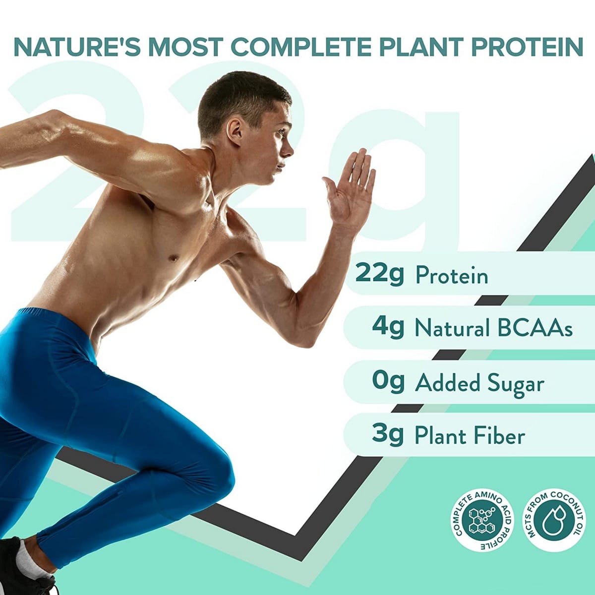 Wellbeing Nutrition Superfood Plant Protein, Combo Flavor