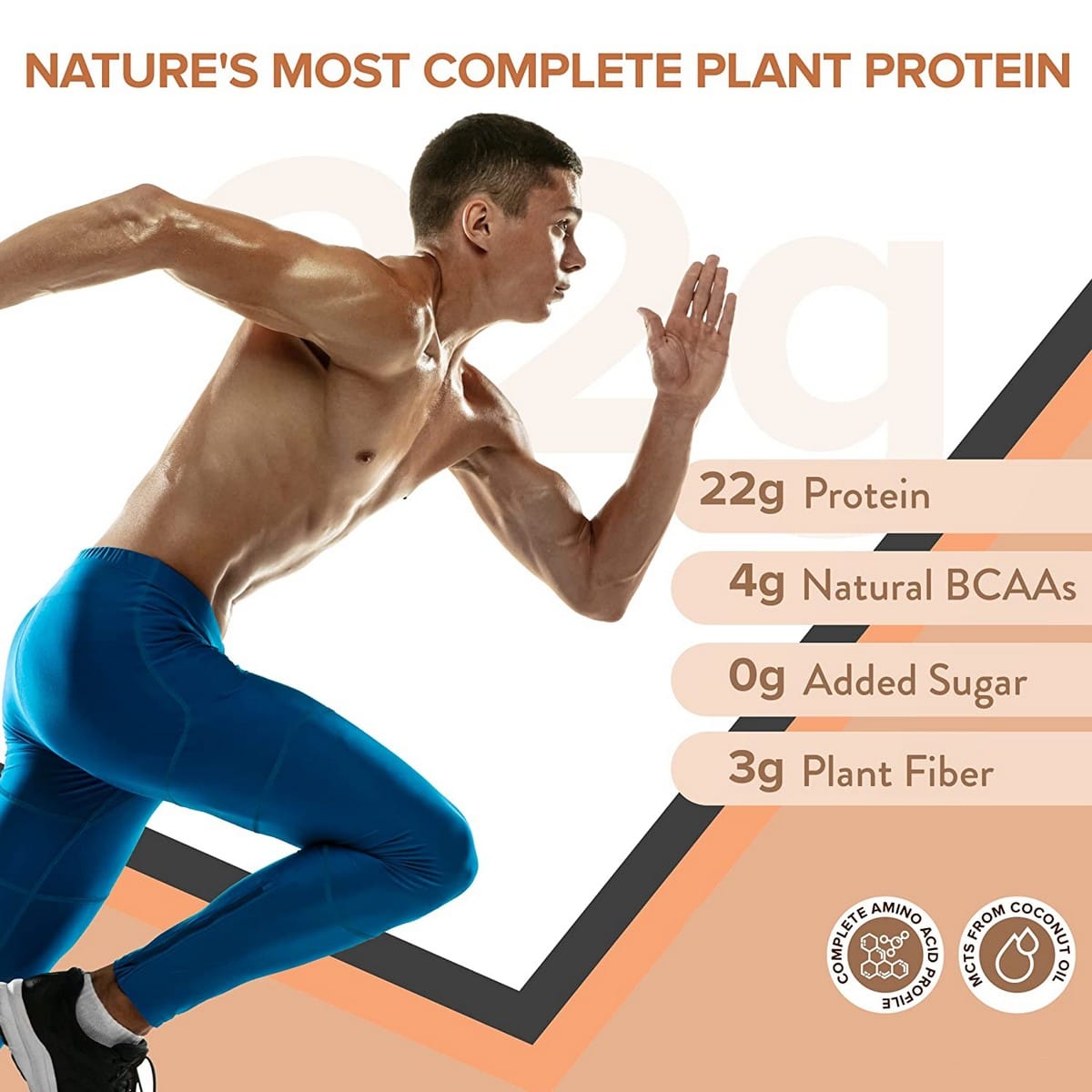 Wellbeing Nutrition Superfood Plant Protein, Combo Flavor