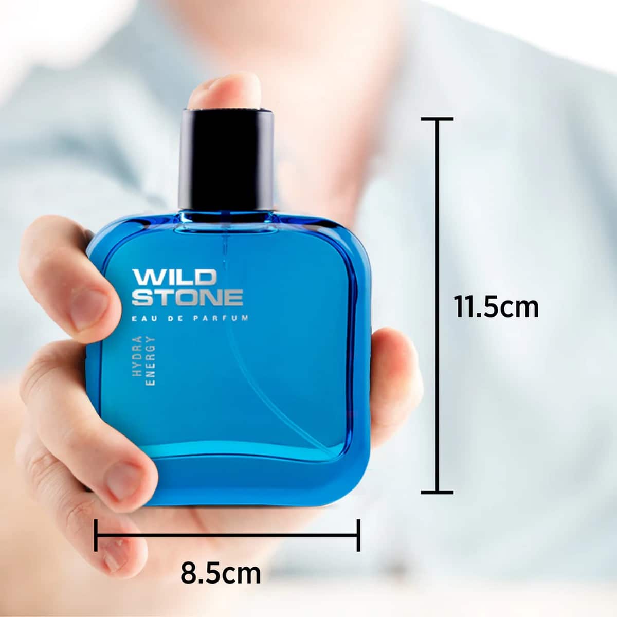 Wild Stone Fresh Hydra Energy Perfume (100ml)