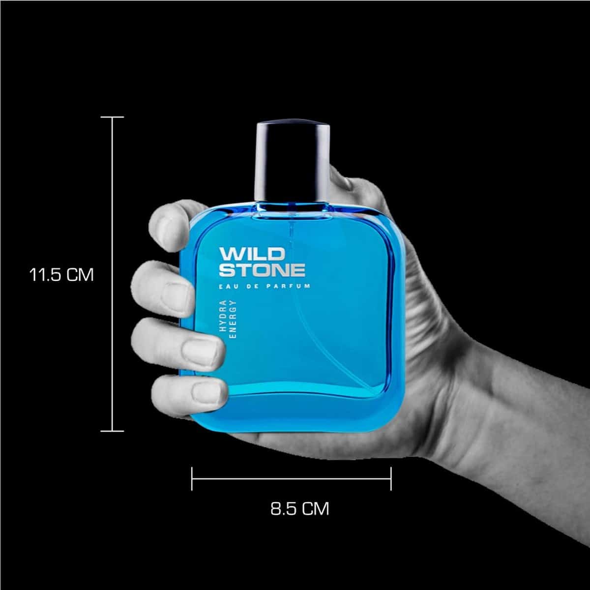 Wild Stone Hydra Energy Perfume (100 ml)
