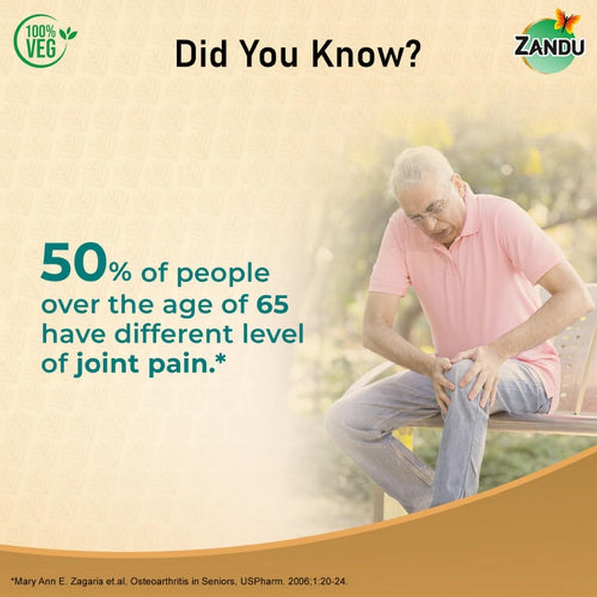 Zandu Seniorz Complete Joint Expert (60 Tabs)