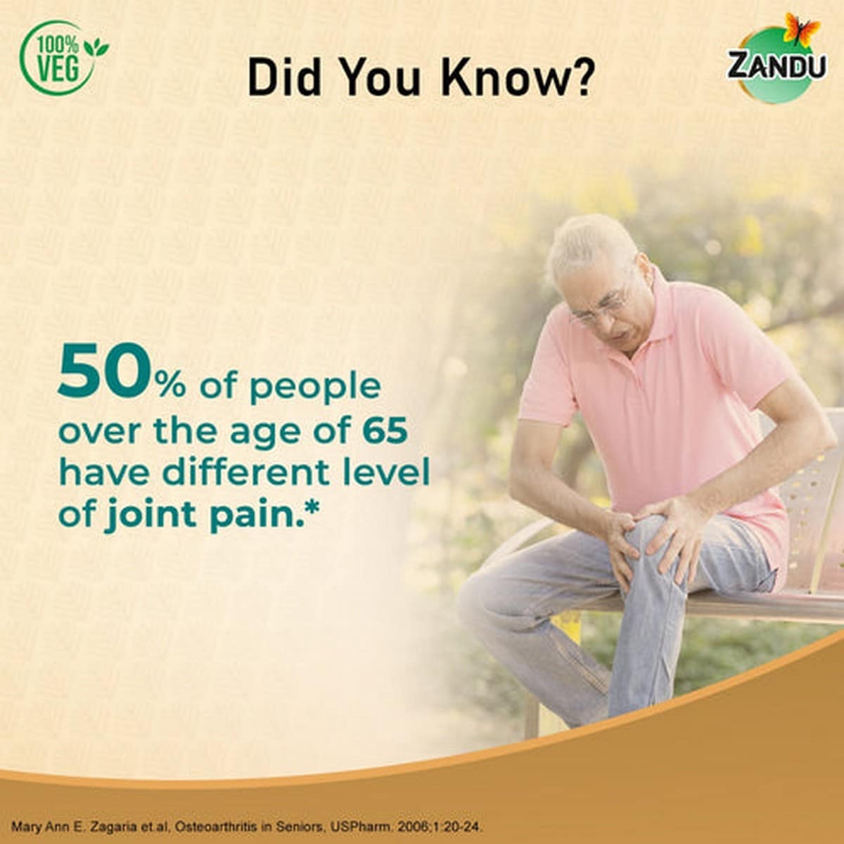 Zandu Seniorz Pain Relief Oil (200ml)